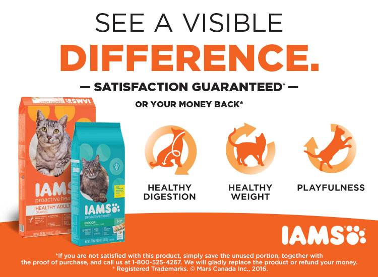 IAMS Cat food Coupon Save 5